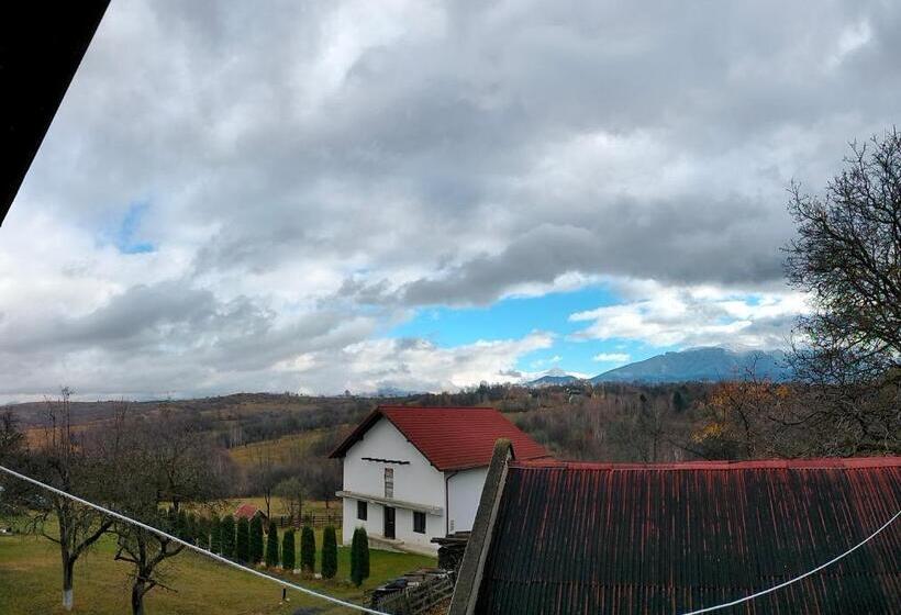 Пансион Casa Vicu