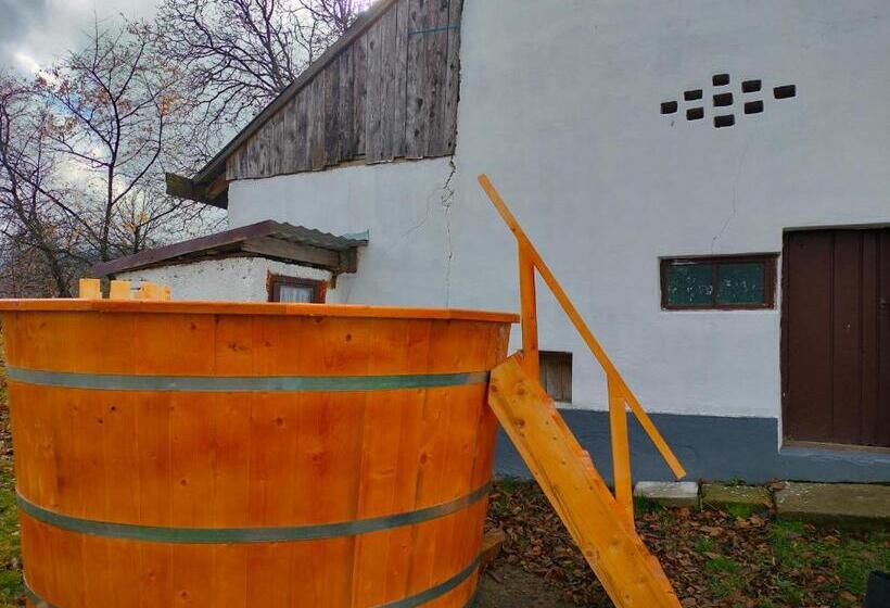 Пансион Casa Vicu