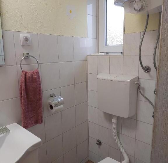 پانسیون аpartman Elena