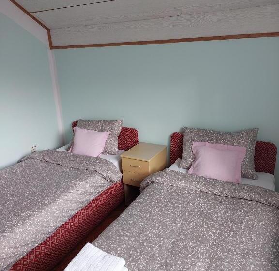 پانسیون аpartman Elena