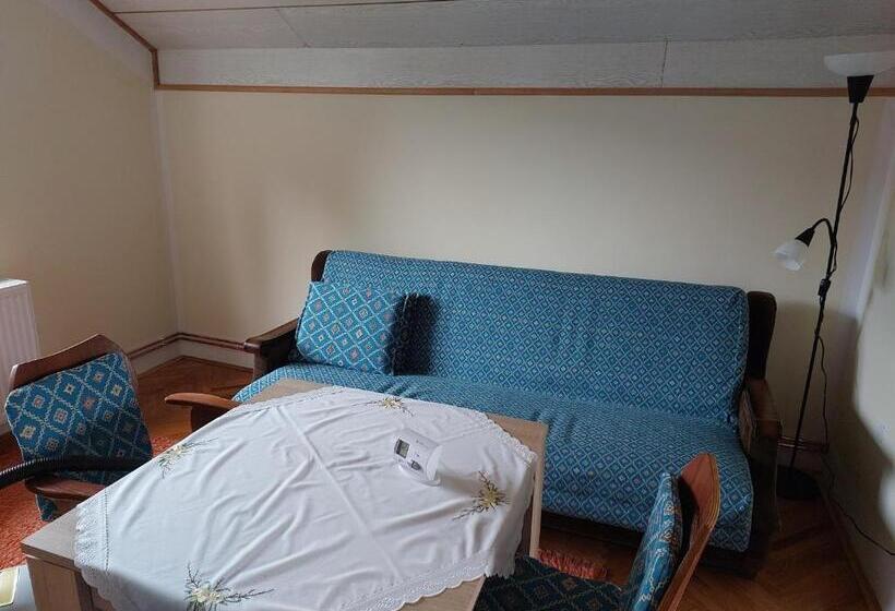 پانسیون аpartman Elena