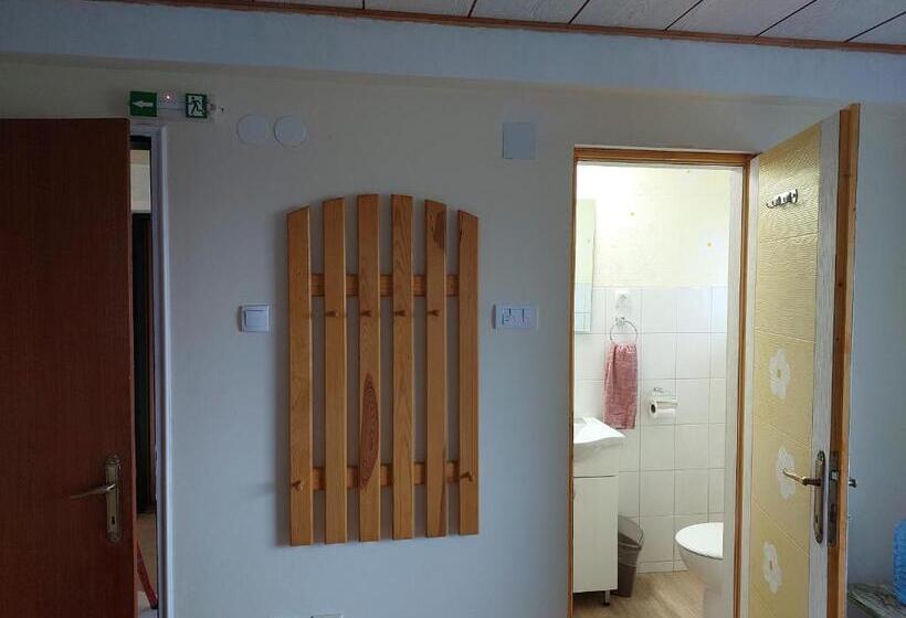 پانسیون аpartman Elena