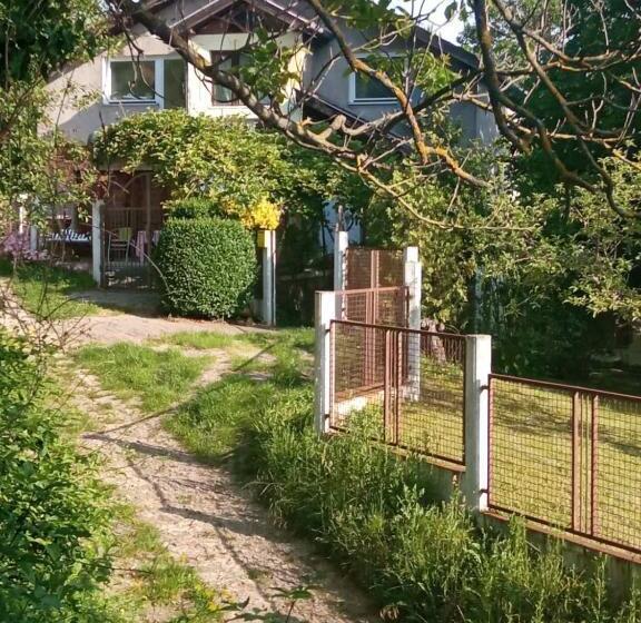 پانسیون аpartman Elena