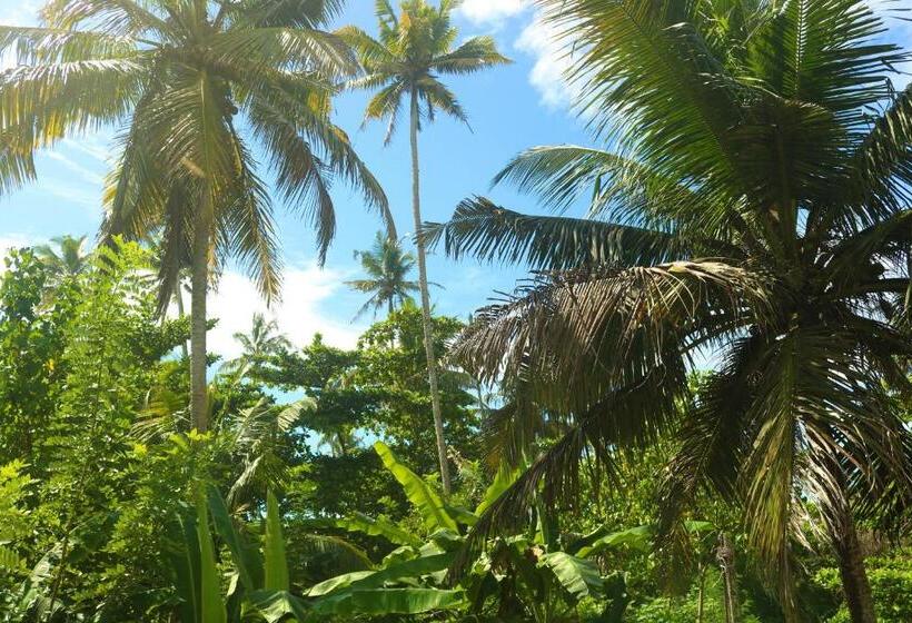 膳宿费 The Drop In Madiha I Double Bedroom With Private Bathroom