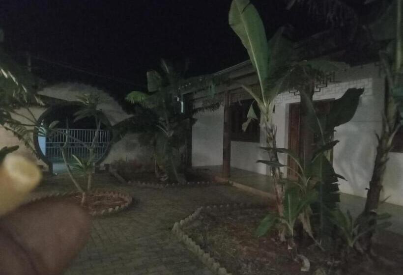 פנסיון Voivoi Guest House