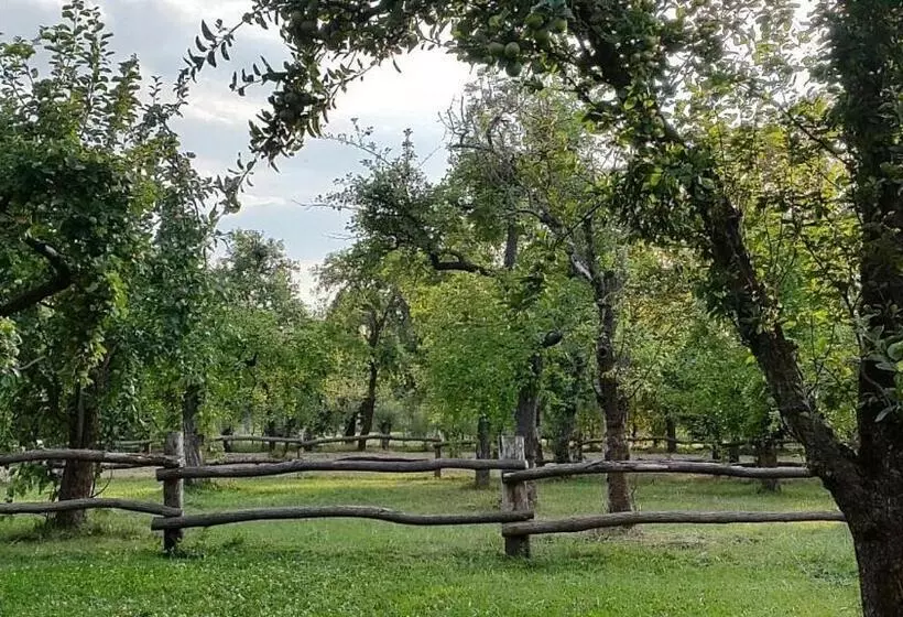 Hotelli Augustusgabe Barby