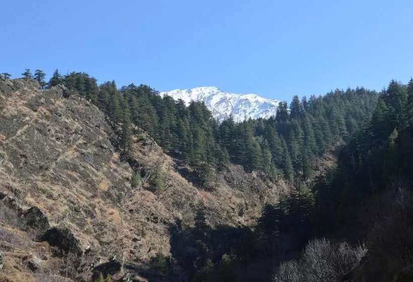 Majatalo Laxmi Narayan Homestay Harshil