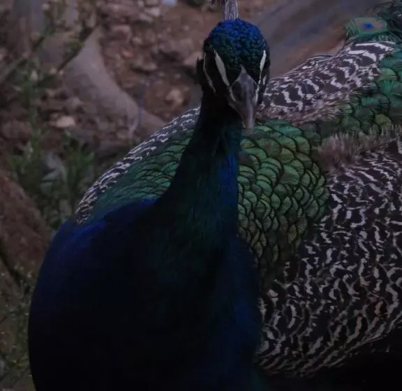 Majatalo Hostel Paraiso De Colores