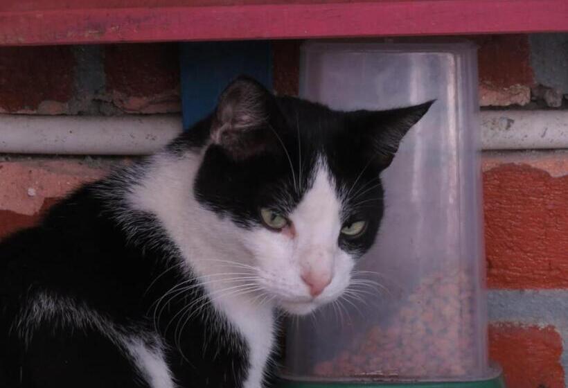 پانسیون Hostel Paraiso De Colores