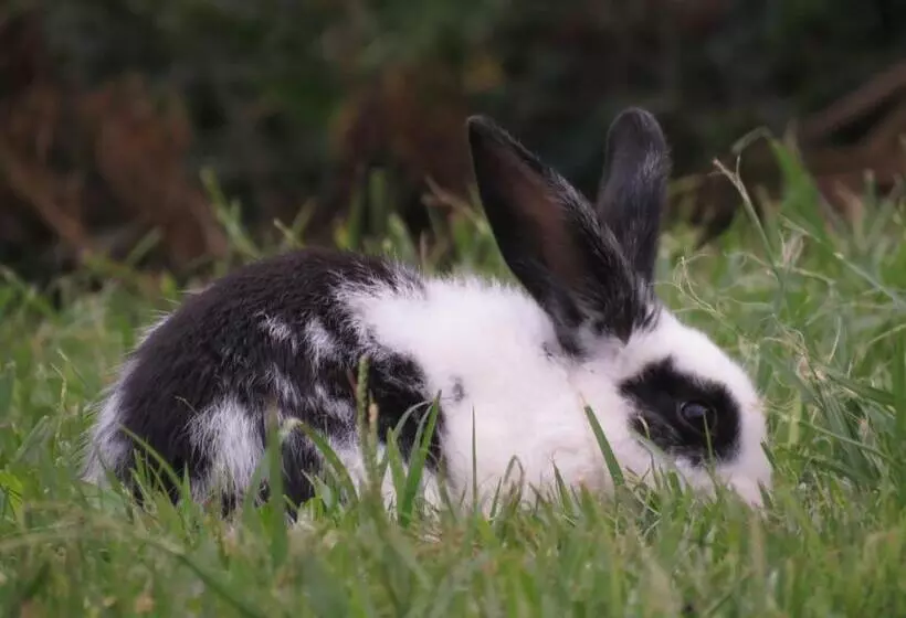 Majatalo Hostel Paraiso De Colores