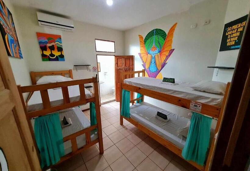 پانسیون Slow Monkey Hostel