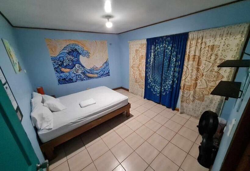 پانسیون Slow Monkey Hostel