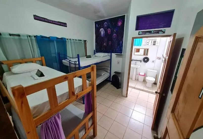 ペンション Slow Monkey Hostel