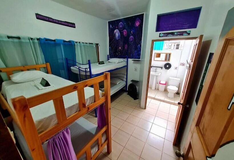 پانسیون Slow Monkey Hostel