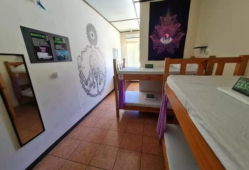 ペンション Slow Monkey Hostel