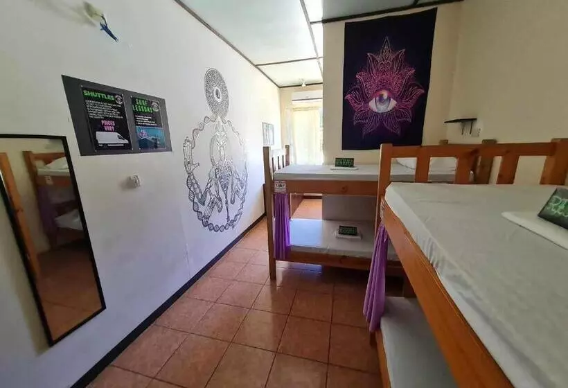 ペンション Slow Monkey Hostel
