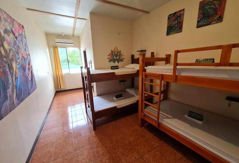 پانسیون Slow Monkey Hostel