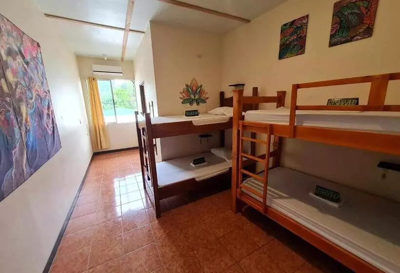 ペンション Slow Monkey Hostel
