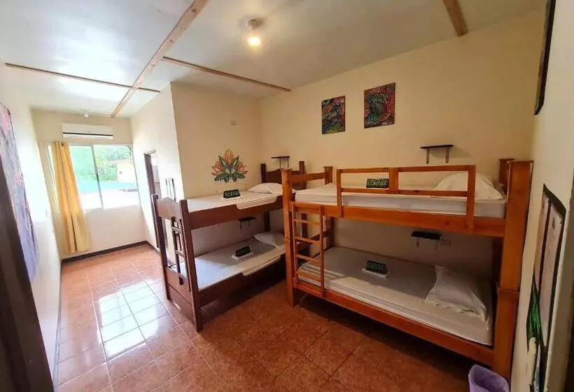 ペンション Slow Monkey Hostel