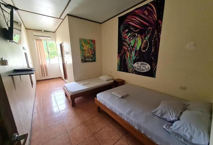 پانسیون Slow Monkey Hostel