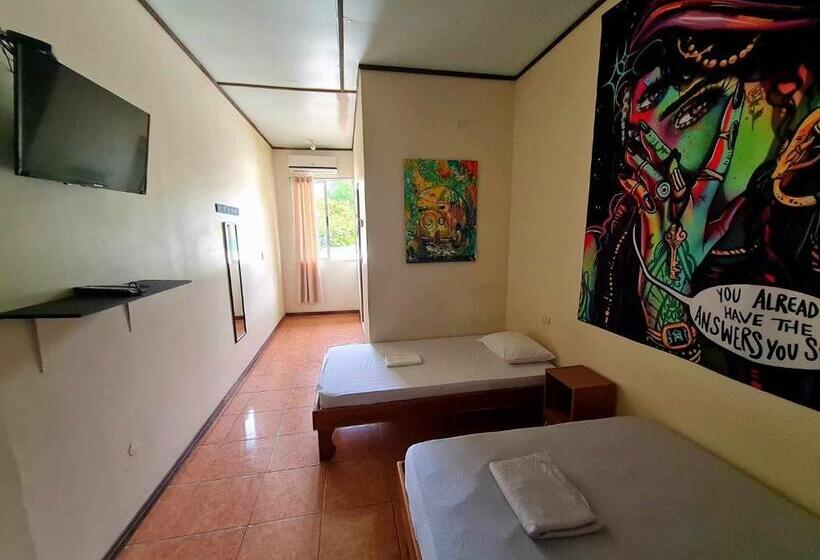 پانسیون Slow Monkey Hostel