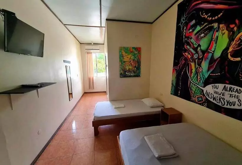 ペンション Slow Monkey Hostel