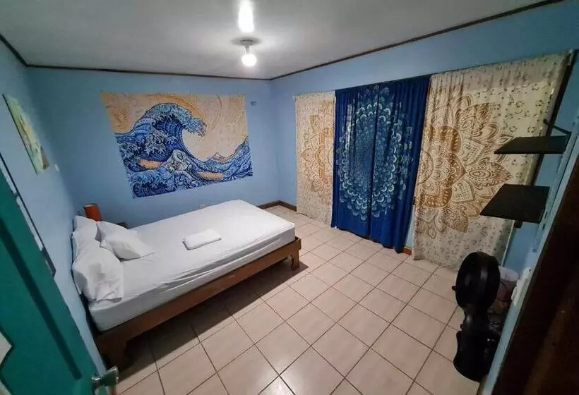 ペンション Slow Monkey Hostel