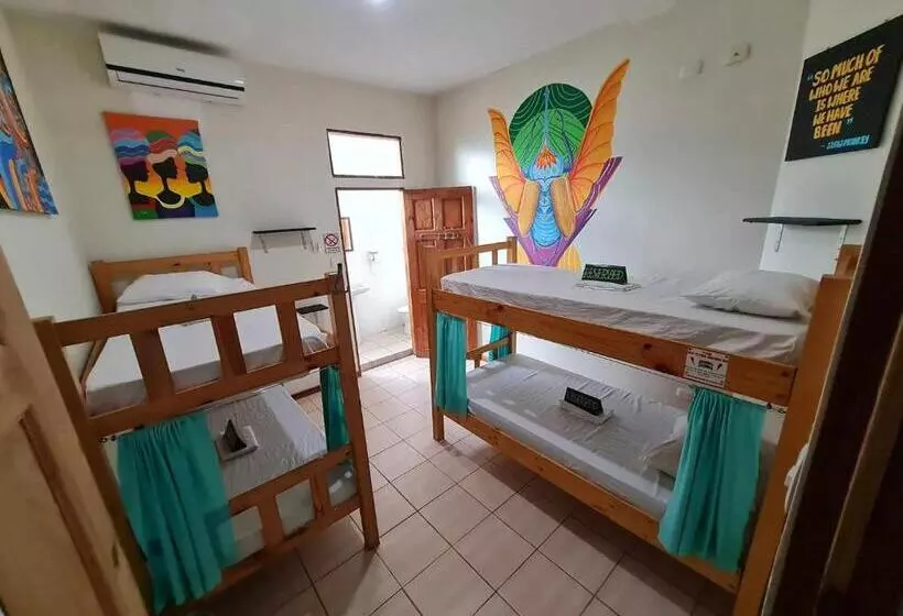 ペンション Slow Monkey Hostel