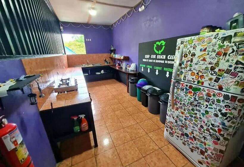 پانسیون Slow Monkey Hostel