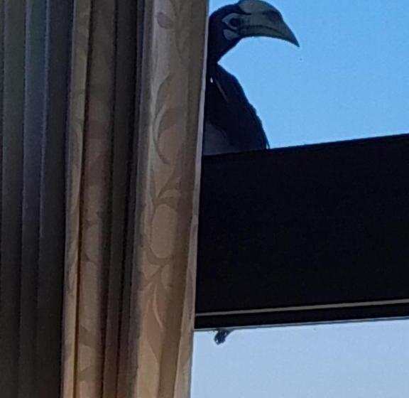 리조트 Koliabor Manor