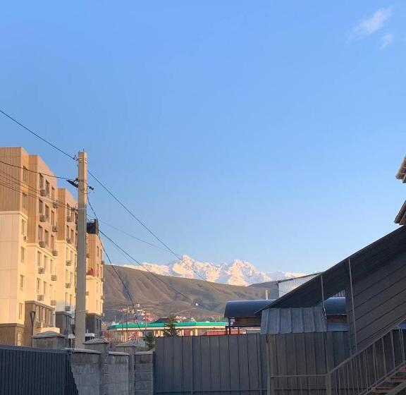 هاستل Comfort Plus