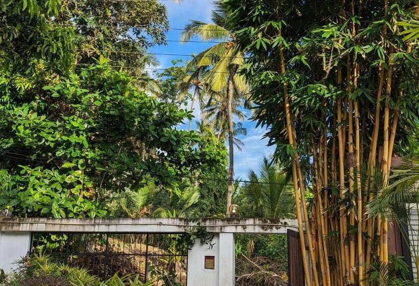 تختخواب و صبحانه Ceyio Traditional Villa