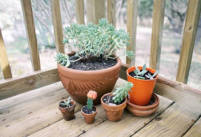 민박 Mosaic On The Hill