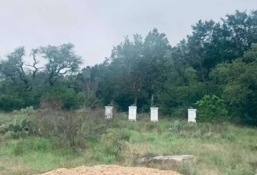 민박 Mosaic On The Hill