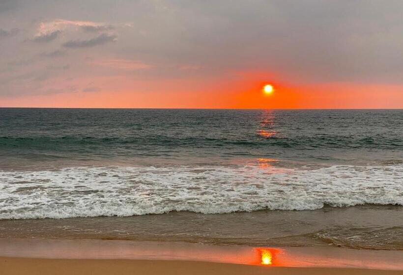 Bed and Breakfast Sri Palms