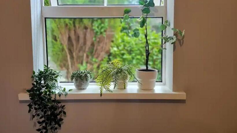 膳宿费 Blima Central Rooms