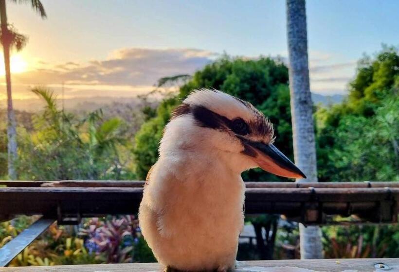 膳宿费 Healing Garden Bed & Breakfast Uluwatu