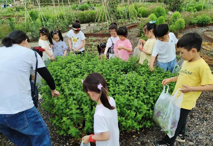 בית מלון כפרי Yangzhou Mangdao Garden Resort