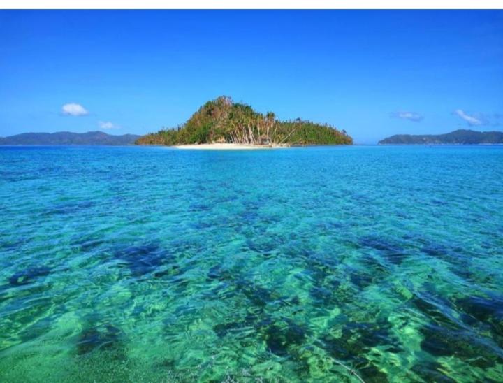 Vandrarhem Castaway Native Huts