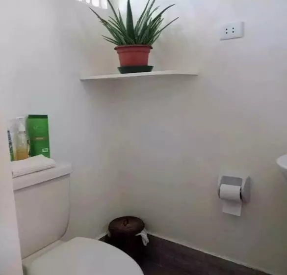 ユースホステル Palomavilla Resort