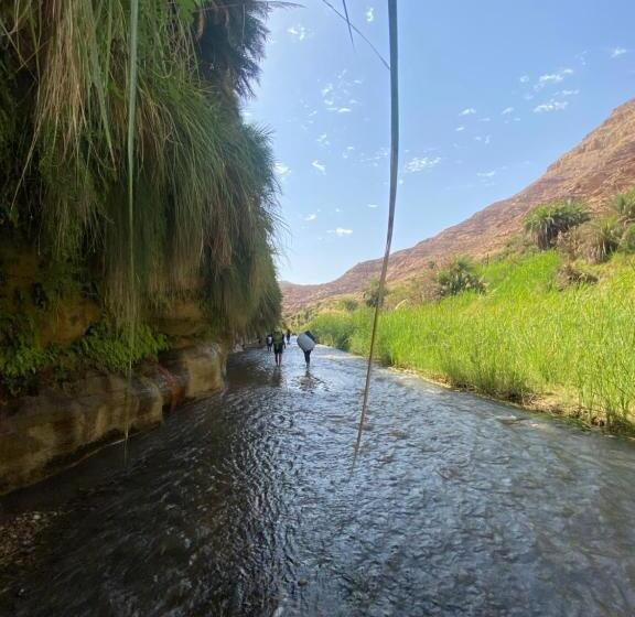 تختخواب و صبحانه Bedouin Home. Stay And Guiding