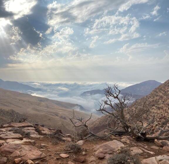 تختخواب و صبحانه Bedouin Home. Stay And Guiding