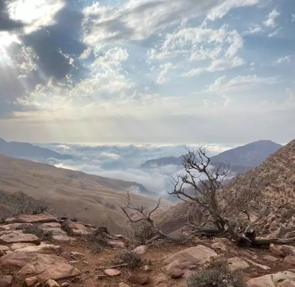 تختخواب و صبحانه Bedouin Home. Stay And Guiding