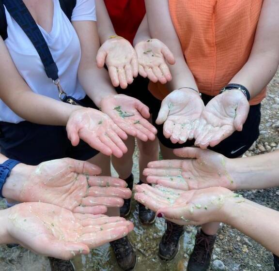 تختخواب و صبحانه Bedouin Home. Stay And Guiding