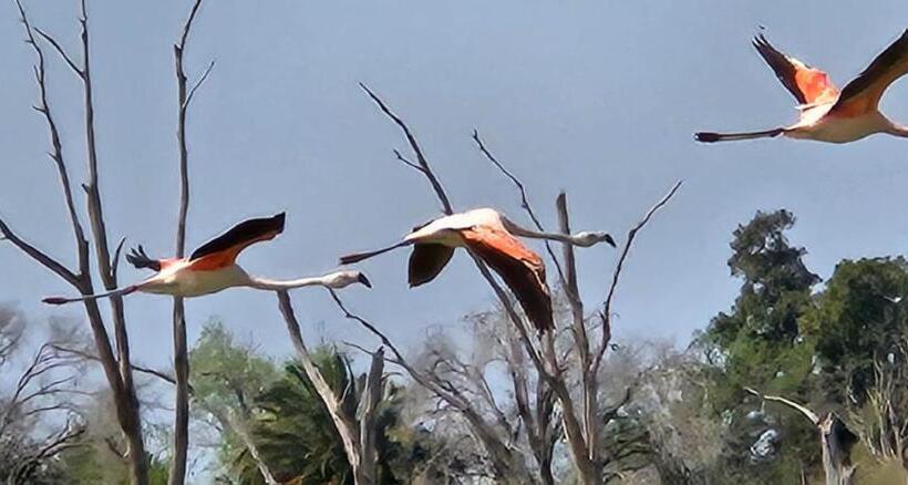 酒店 La Genoveva Posada Entre Viñedos