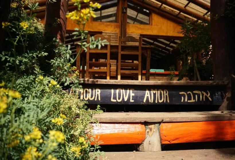 فندق Rey Sol Reina Luna