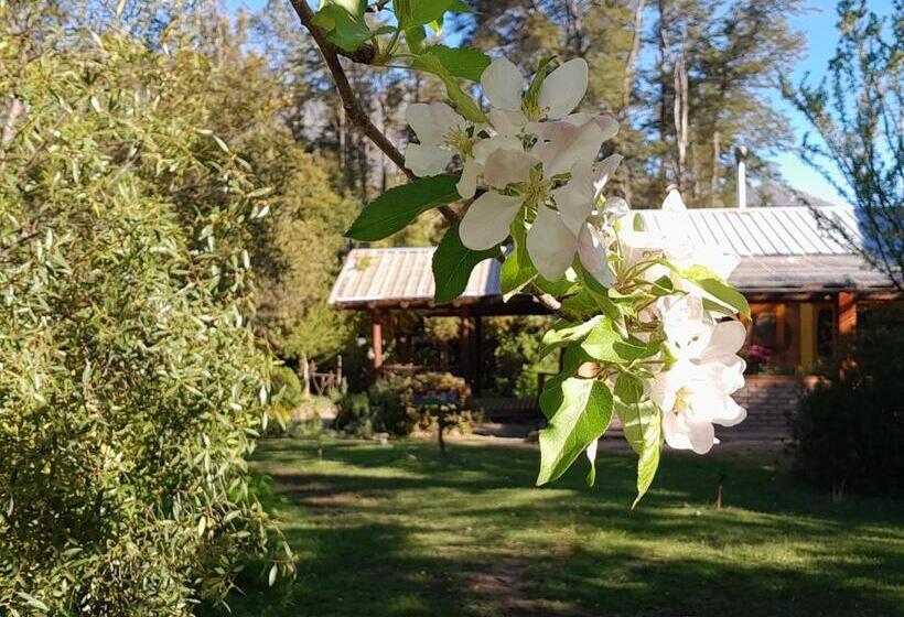 فندق Rey Sol Reina Luna