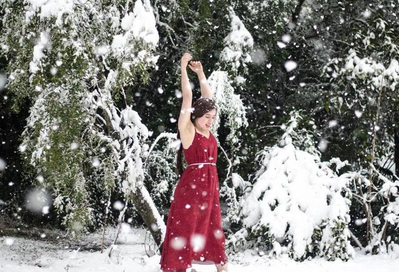 فندق Rey Sol Reina Luna