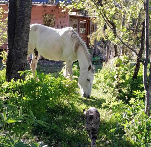 فندق Rey Sol Reina Luna