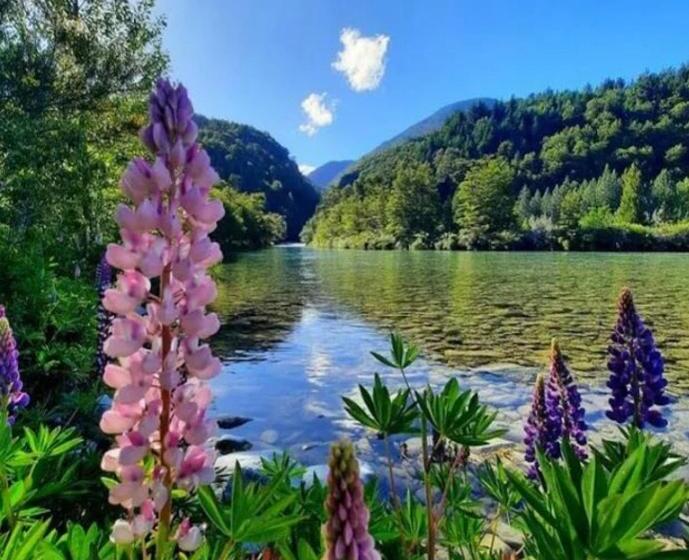 فندق Rey Sol Reina Luna